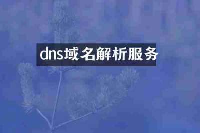 dns域名解析服务