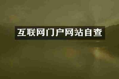 互联网门户网站自查