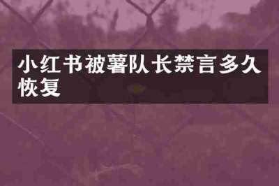 小红书被薯队长禁言多久恢复