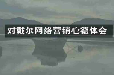 对戴尔网络营销心德体会