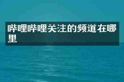 哔哩哔哩关注的频道在哪里