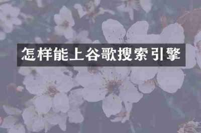 怎样能上谷歌搜索引擎