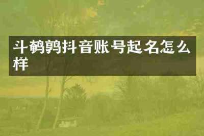 斗鹌鹑抖音账号起名怎么样