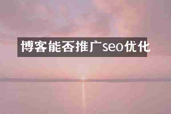 博客能否推广seo优化