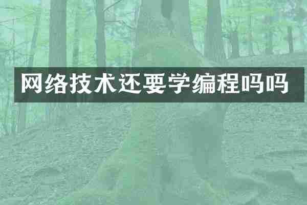 网络技术还要学编程吗吗