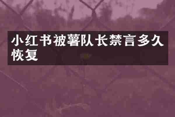 小红书被薯队长禁言多久恢复
