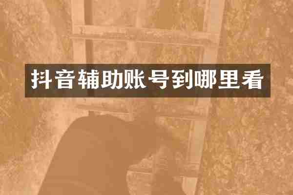 抖音辅助账号到哪里看