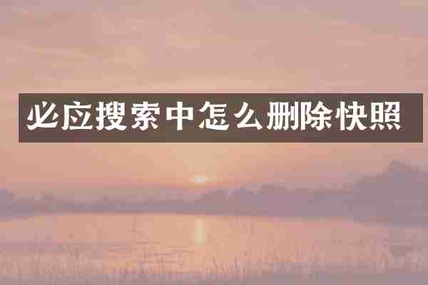 必应搜索中怎么删除快照
