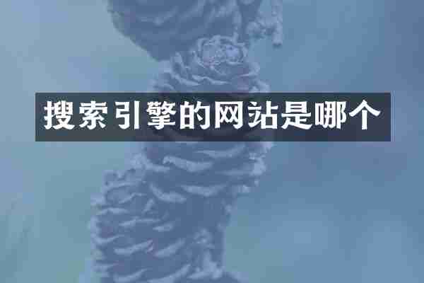 搜索引擎的网站是哪个