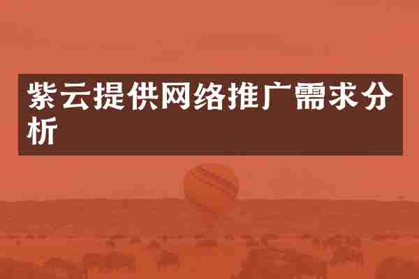 紫云提供网络推广需求分析