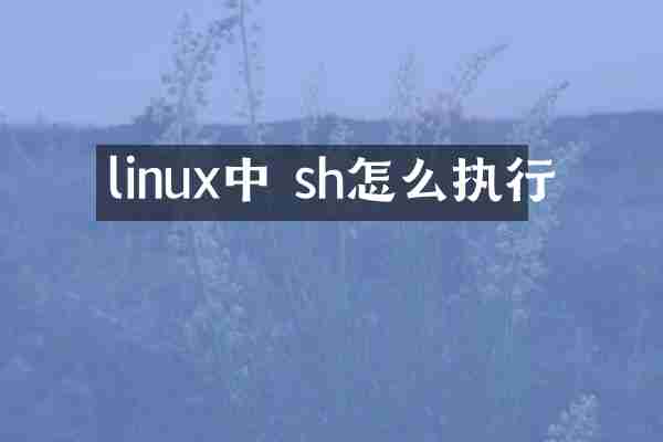 linux中 sh怎么执行
