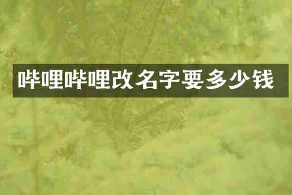 哔哩哔哩改名字要多少钱