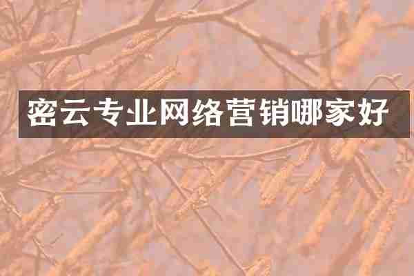 密云专业网络营销哪家好