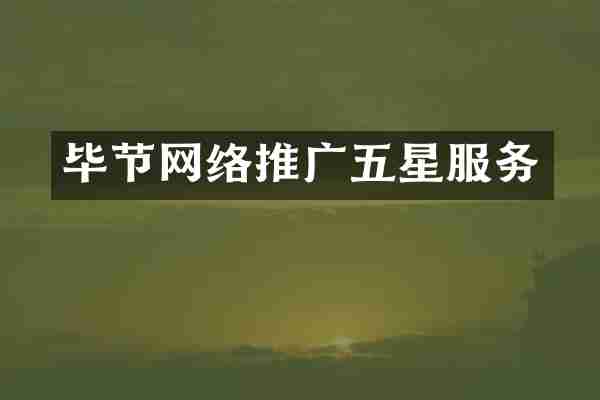 毕节网络推广五星服务