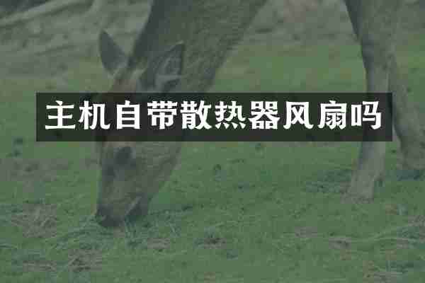主机自带散热器风扇吗