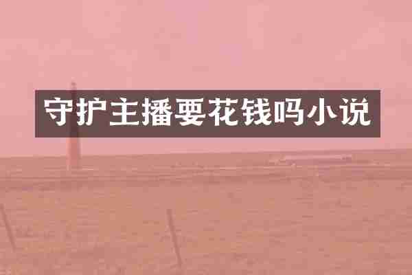 守护主播要花钱吗小说