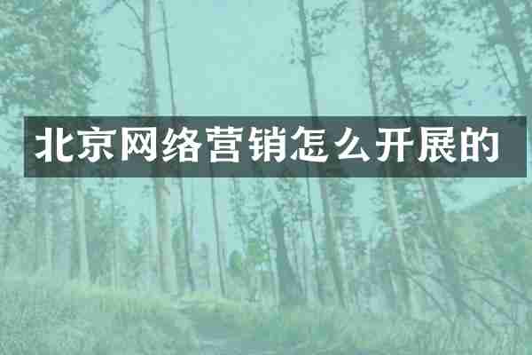 北京网络营销怎么开展的