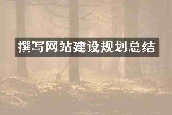 撰写网站建设规划总结