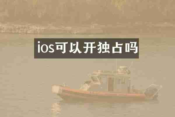 ios可以开独占吗