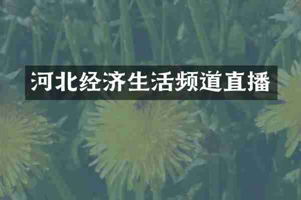 河北经济生活频道直播