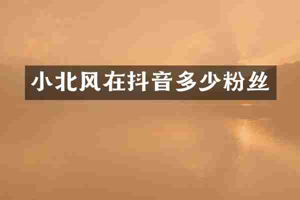 小北风在抖音多少粉丝