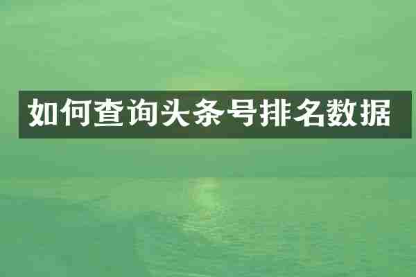 如何查询头条号排名数据