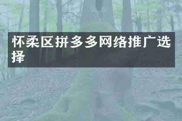 怀柔区拼多多网络推广选择