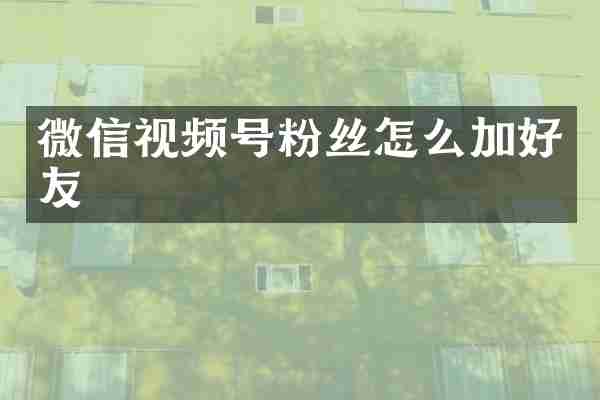 微信视频号粉丝怎么加好友