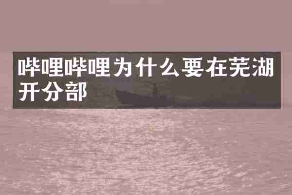 哔哩哔哩为什么要在芜湖开分部