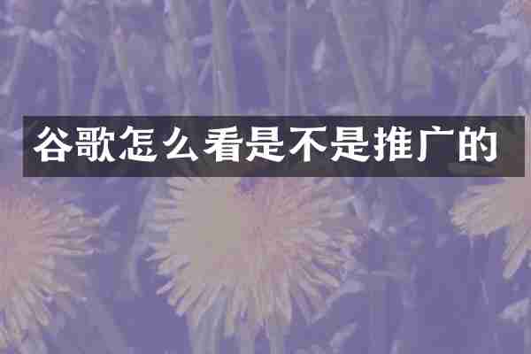 谷歌怎么看是不是推广的