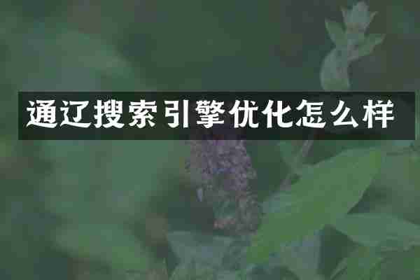 通辽搜索引擎优化怎么样