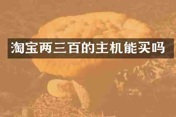 淘宝两三百的主机能买吗