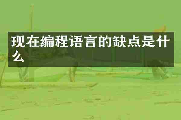 现在编程语言的缺点是什么