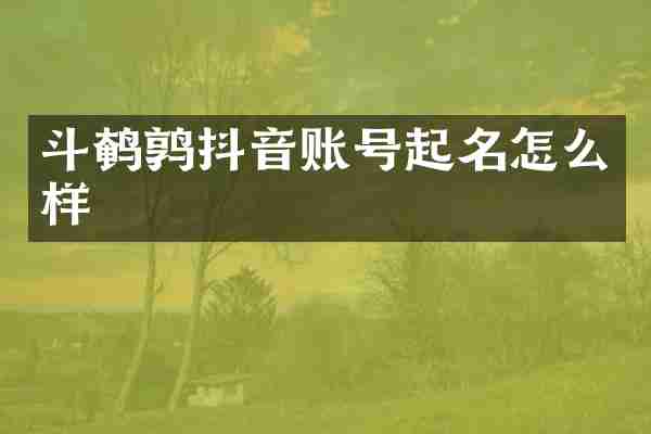 斗鹌鹑抖音账号起名怎么样
