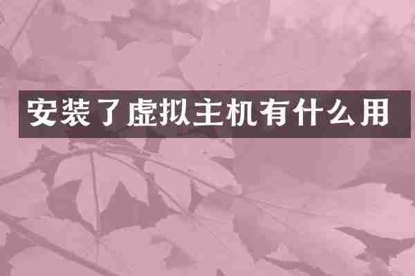 安装了虚拟主机有什么用