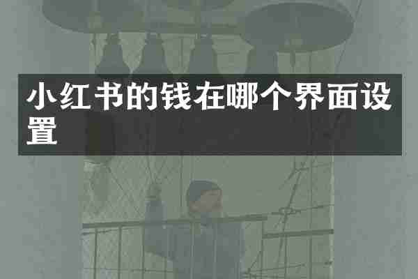 小红书的钱在哪个界面设置