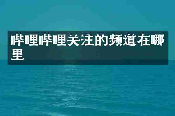 哔哩哔哩关注的频道在哪里