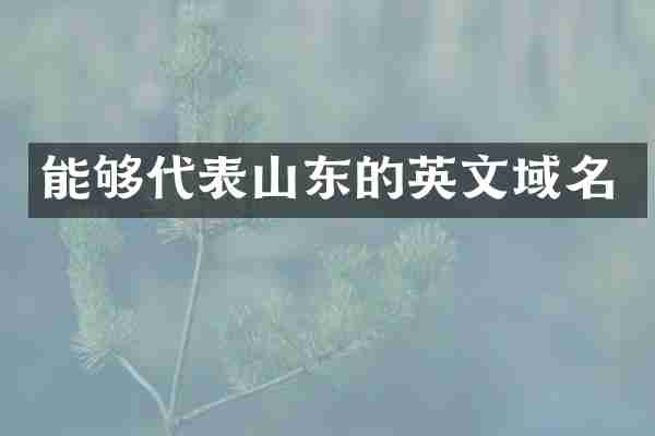 能够代表山东的英文域名
