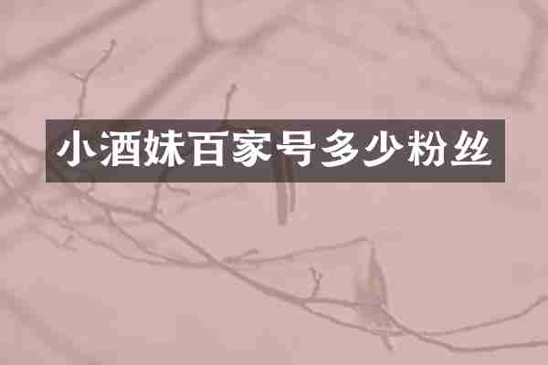 小酒妹百家号多少粉丝