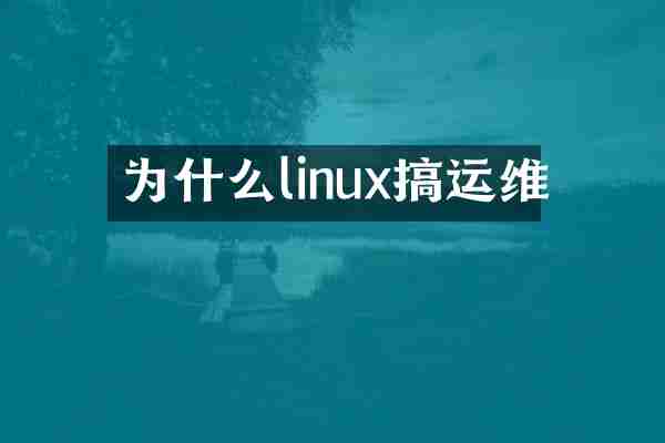 为什么linux搞运维