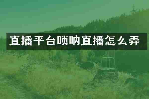 直播平台唢呐直播怎么弄