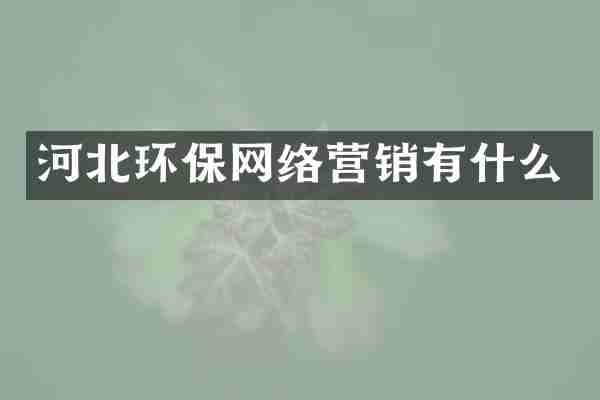 河北环保网络营销有什么