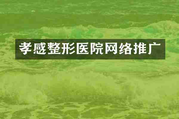 孝感整形医院网络推广