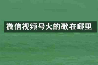 微信视频号火的歌在哪里