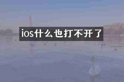 ios什么也打不开了