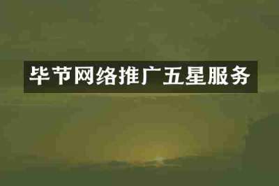 毕节网络推广五星服务