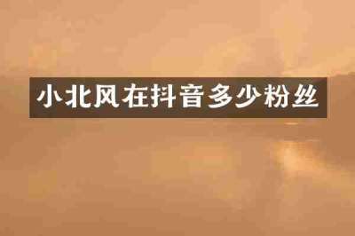 小北风在抖音多少粉丝