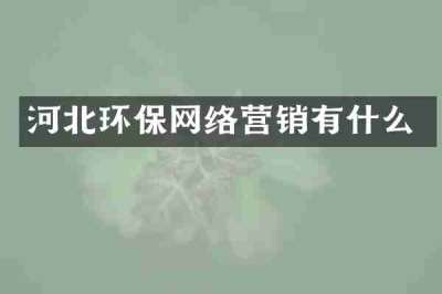 河北环保网络营销有什么