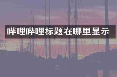 哔哩哔哩标题在哪里显示