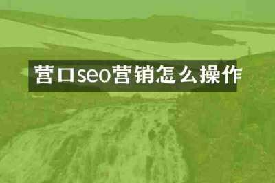 营口seo营销怎么操作